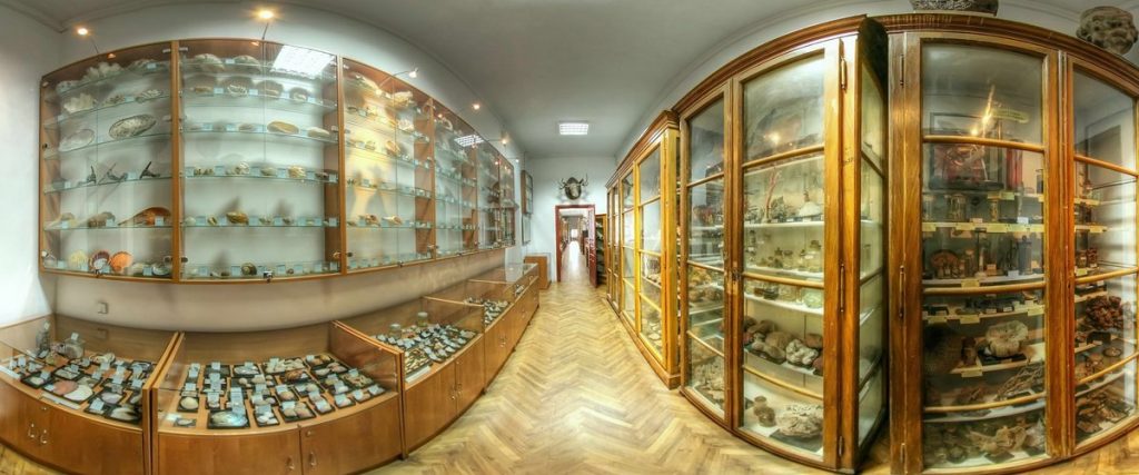 Музей історії хвороб та зоологічний: 5 маловідомих, але цікавих пам’яток Львова фото 3
