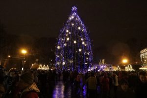 20-метрове дерево привезли з Дрогобицького району
